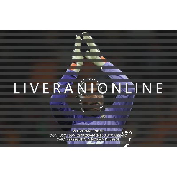 Fifa World Cup Sud Africa 2010 Match #39 Johannesburg (Soccer City Stadium) - 23.06.2010 Ghana-Germania Nella Foto:Richard KINGSON /Ph.Vitez-Ag. Aldo Liverani