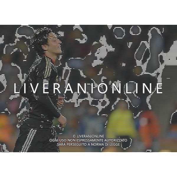 Fifa World Cup Sud Africa 2010 Match #39 Johannesburg (Soccer City Stadium) - 23.06.2010 Ghana-Germania Nella Foto:Mesut OEZIL /Ph.Vitez-Ag. Aldo Liverani