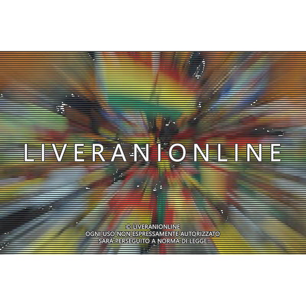 Fifa World Cup Sud Africa 2010 Match #39 Johannesburg (Soccer City Stadium) - 23.06.2010 Ghana-Germania Nella Foto:Tifosi GHANA /Ph.Vitez-Ag. Aldo Liverani