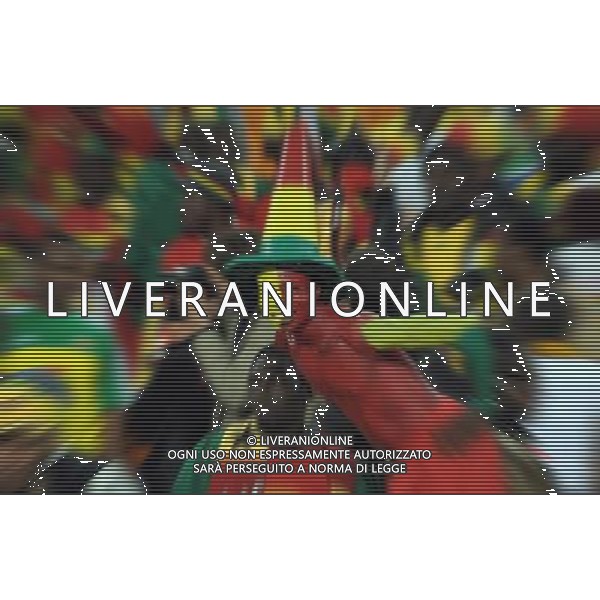 Fifa World Cup Sud Africa 2010 Match #39 Johannesburg (Soccer City Stadium) - 23.06.2010 Ghana-Germania Nella Foto:Tifosi GHANA /Ph.Vitez-Ag. Aldo Liverani