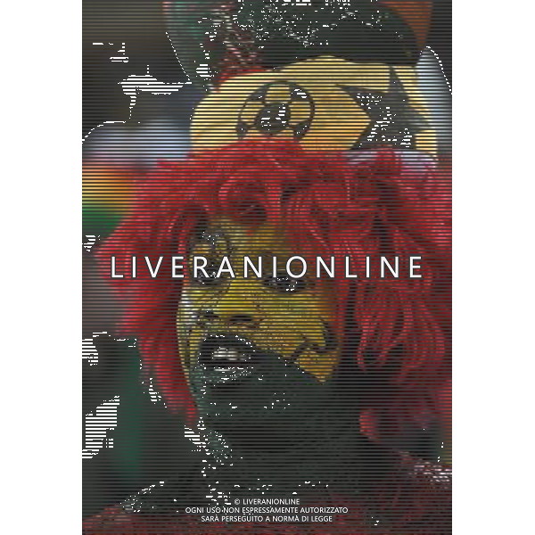 Fifa World Cup Sud Africa 2010 Match #39 Johannesburg (Soccer City Stadium) - 23.06.2010 Ghana-Germania Nella Foto:Tifosi /Ph.Vitez-Ag. Aldo Liverani