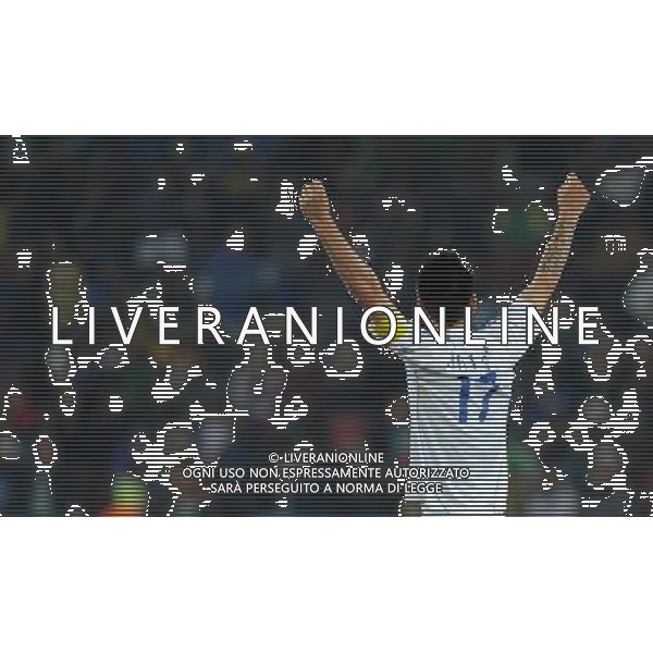 Fifa World Cup Sud Africa 2010 Match #41 Johannesburg (Ellis Park Stadium) - 24.06.2010 Slovacchia-Italia Nella Foto:hamsik esulta /Ph.Vitez-Ag. Aldo Liverani