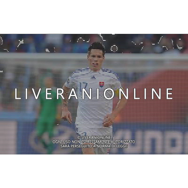 Fifa World Cup Sud Africa 2010 Match #41 Johannesburg (Ellis Park Stadium) - 24.06.2010 Slovacchia-Italia Nella Foto:Marek HAMSIK /Ph.Vitez-Ag. Aldo Liverani