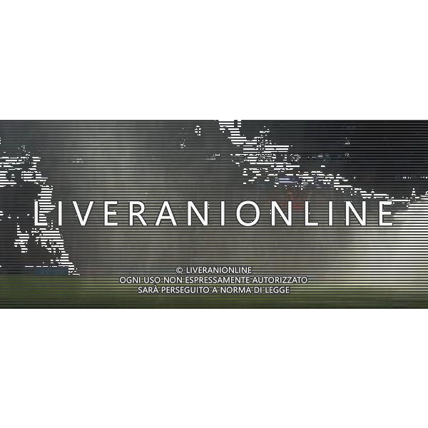 Fifa World Cup Sud Africa 2010 Match #41 Johannesburg (Ellis Park Stadium) - 24.06.2010 Slovacchia-Italia Nella Foto:IDRANTE /Ph.Vitez-Ag. Aldo Liverani