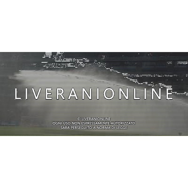 Fifa World Cup Sud Africa 2010 Match #41 Johannesburg (Ellis Park Stadium) - 24.06.2010 Slovacchia-Italia Nella Foto:IDRANTE /Ph.Vitez-Ag. Aldo Liverani