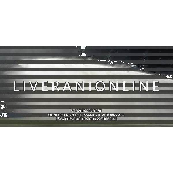 Fifa World Cup Sud Africa 2010 Match #41 Johannesburg (Ellis Park Stadium) - 24.06.2010 Slovacchia-Italia Nella Foto:IDRANTE /Ph.Vitez-Ag. Aldo Liverani