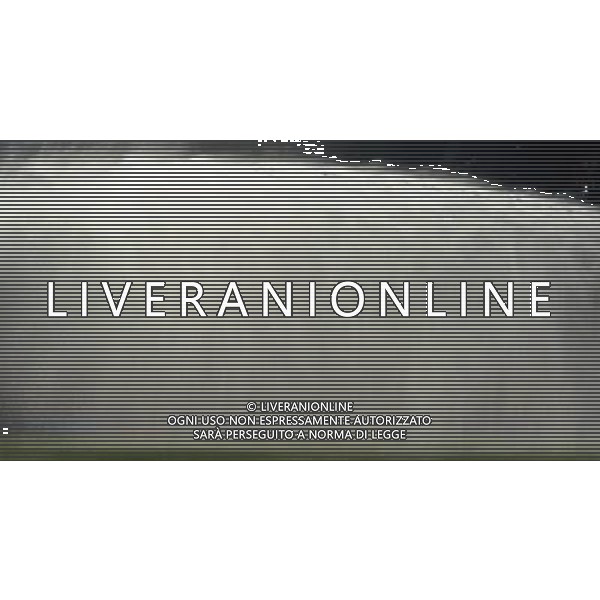 Fifa World Cup Sud Africa 2010 Match #41 Johannesburg (Ellis Park Stadium) - 24.06.2010 Slovacchia-Italia Nella Foto:IDRANTE /Ph.Vitez-Ag. Aldo Liverani