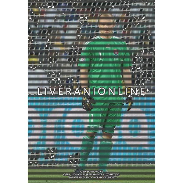 Fifa World Cup Sud Africa 2010 Match #41 Johannesburg (Ellis Park Stadium) - 24.06.2010 Slovacchia-Italia Nella Foto:Jan MUCHA /Ph.Vitez-Ag. Aldo Liverani