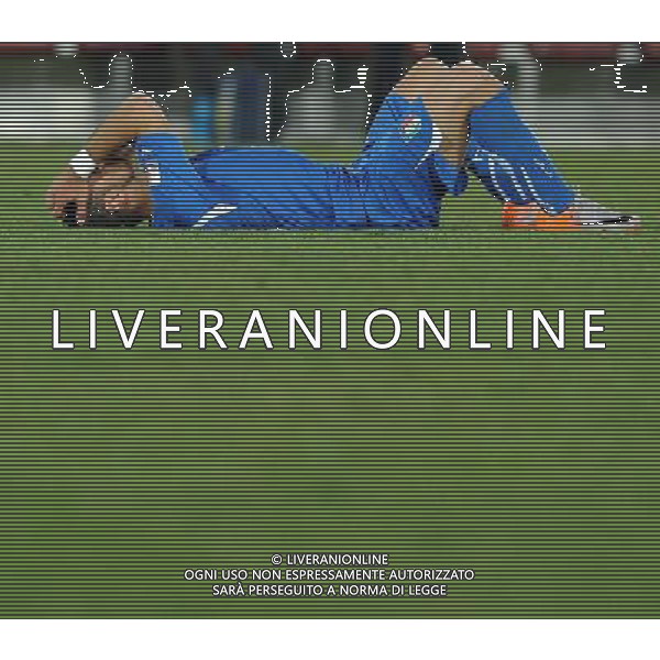 Fifa World Cup Sud Africa 2010 Match #41 Johannesburg (Ellis Park Stadium) - 24.06.2010 Slovacchia-Italia Nella Foto:Fabio QUAGLIARELLA /Ph.Vitez-Ag. Aldo Liverani