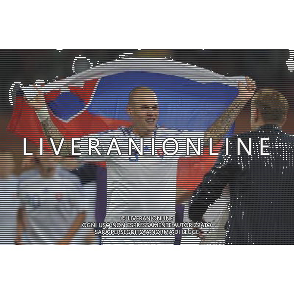 Fifa World Cup Sud Africa 2010 Match #41 Johannesburg (Ellis Park Stadium) - 24.06.2010 Slovacchia-Italia Nella Foto:Martin SKRTEL /Ph.Vitez-Ag. Aldo Liverani