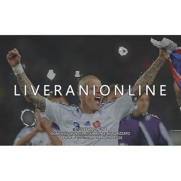 Fifa World Cup Sud Africa 2010 Match #41 Johannesburg (Ellis Park Stadium) - 24.06.2010 Slovacchia-Italia Nella Foto:Martin SKRTEL /Ph.Vitez-Ag. Aldo Liverani