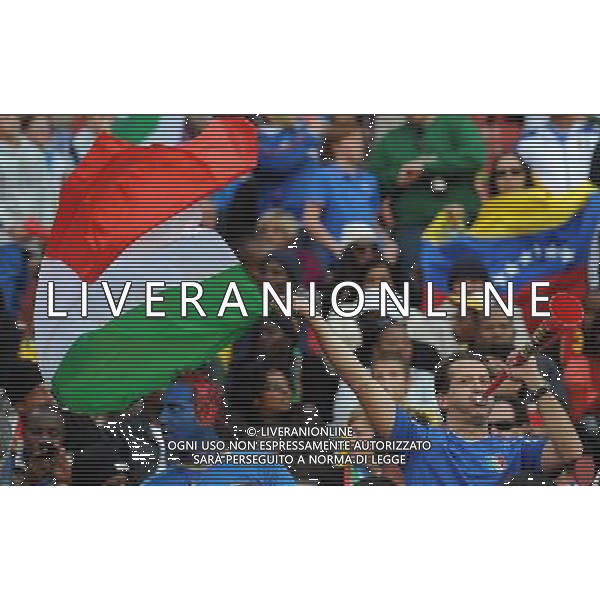 Fifa World Cup Sud Africa 2010 Match #41 Johannesburg (Ellis Park Stadium) - 24.06.2010 Slovacchia-Italia Nella Foto:Tifosi /Ph.Vitez-Ag. Aldo Liverani