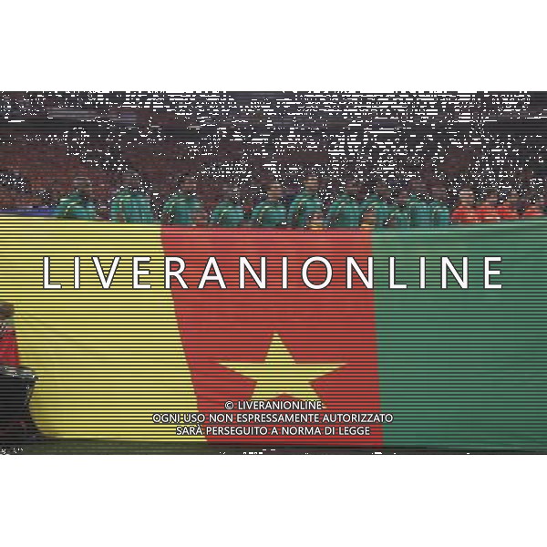 (100625) -- CAPE TOWN, June 25, 2010 -FORMAZIONE CAMERUN SCHIERATA DURANTE L\'INNO NZIONALE- The Cameroon soccer team are seen before the Group E last round match between Netherlands and Cameroon at 2010 FIFA World Cup at Green Point stadium in Cape Town, South Africa, on June 24, 2010. Xing Guangli) (xm) ©Photoshot/Agenzia Aldo Liverani Sas - ITALY ONLY: OLANDA - CAMERUN FIFA WORLD CUP CAMPIONATI MONDIALI SUD AFRICA 2010