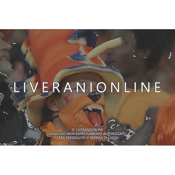 (100625) -- CAPE TOWN, June 25, 2010 -- A Dutch supporter cheers prior to the Group E last round match between Netherlands and Cameroon at 2010 FIFA World Cup at Green Point stadium in Cape Town, South Africa, on June 24, 2010. Xing Guangli) (xm) ©Photoshot/Agenzia Aldo Liverani Sas - ITALY ONLY: OLANDA - CAMERUN FIFA WORLD CUP CAMPIONATI MONDIALI SUD AFRICA 2010