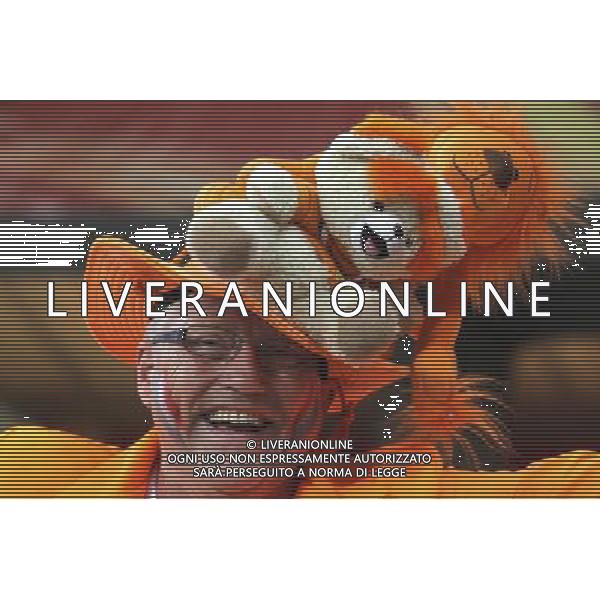 (100625) -- CAPE TOWN, June 25, 2010 -- A Dutch supporter cheers prior to the Group E last round match between Netherlands and Cameroon at 2010 FIFA World Cup at Green Point stadium in Cape Town, South Africa, on June 24, 2010. Xing Guangli) (xm) ©Photoshot/Agenzia Aldo Liverani Sas - ITALY ONLY: OLANDA - CAMERUN FIFA WORLD CUP CAMPIONATI MONDIALI SUD AFRICA 2010