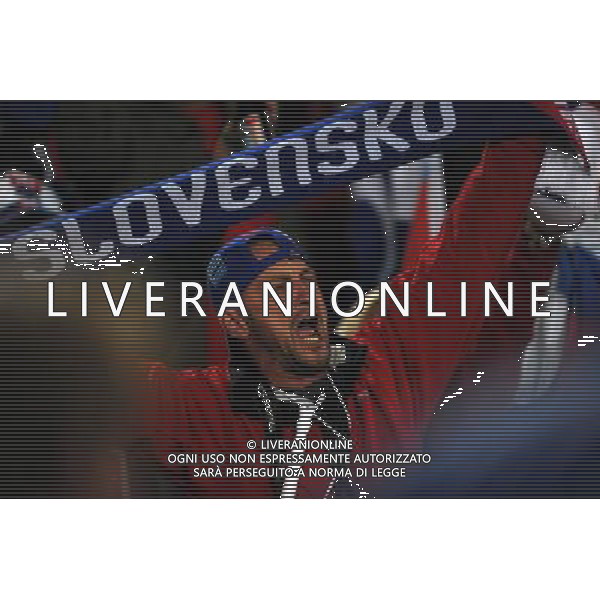 (100624) -- JOHANNESBURG, June 24, 2010 -- A Slovakia\'s supporter cheers during the 2010 World Cup Group F soccer match against Italy at Ellis Park stadium in Johannesburg, South Africa, June 24, 2010. Slovakia won 3-2 and progressed to the next round. Guo Yong) (kh) ©Photoshot/Agenzia Aldo Liverani Sas - ITALY ONLY: SLOVACCHIA - ITALIA FIFA WORLD CUP CAMPIONATI MONDIALI SUD AFRICA 2010