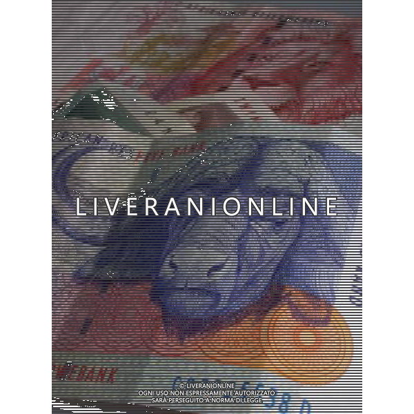 A collection of ten, twenty, fifty and one hundred South African Rand notes on August 13, 2003. (© Richard B. Levine) - NINTH AVENUE PHOTOS - PHOTOSHOT - AG. ALDO LIVERANI SAS ITALY ONLY MONETA UFFICIALE DEL SUDAFRICA - IL RAND BANCONOTE