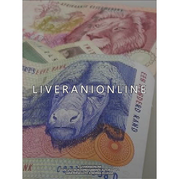 A collection of ten, twenty, fifty and one hundred South African Rand notes on August 13, 2003. (© Richard B. Levine) - NINTH AVENUE PHOTOS - PHOTOSHOT - AG. ALDO LIVERANI SAS ITALY ONLY MONETA UFFICIALE DEL SUDAFRICA - IL RAND BANCONOTE