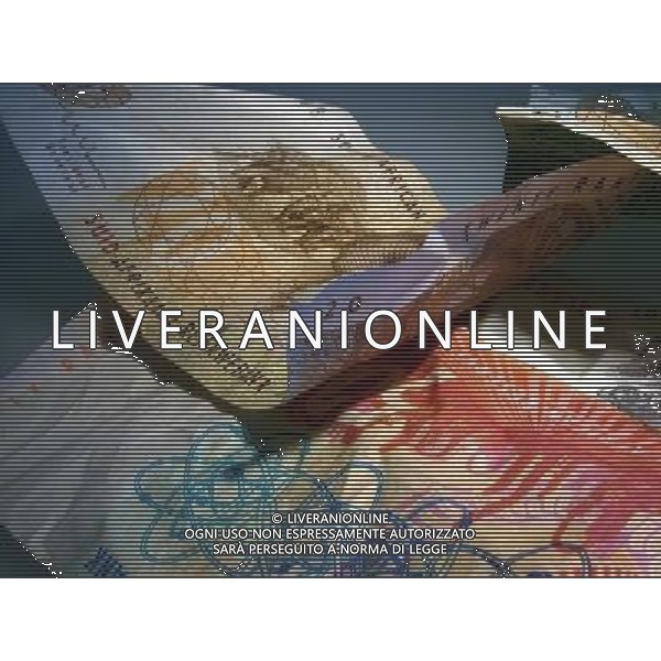 A collection of ten, twenty, fifty and one hundred South African Rand notes on August 13, 2003. (© Richard B. Levine) - NINTH AVENUE PHOTOS - PHOTOSHOT - AG. ALDO LIVERANI SAS ITALY ONLY MONETA UFFICIALE DEL SUDAFRICA - IL RAND BANCONOTE