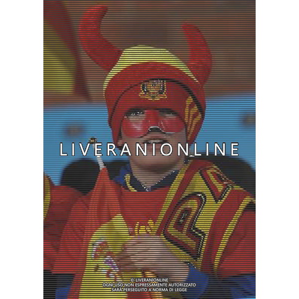 Fifa World Cup Sud Africa 2010 Match #47 Tshwane/Pretoria (Lotus Versfeld Stadium) - 25.06.2010 Cile-Spagna Nella Foto: TIFOSI /Ph.Vitez-Ag. Aldo Liverani