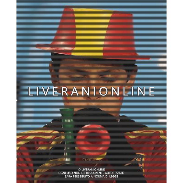 Fifa World Cup Sud Africa 2010 Match #47 Tshwane/Pretoria (Lotus Versfeld Stadium) - 25.06.2010 Cile-Spagna Nella Foto: TIFOSI /Ph.Vitez-Ag. Aldo Liverani