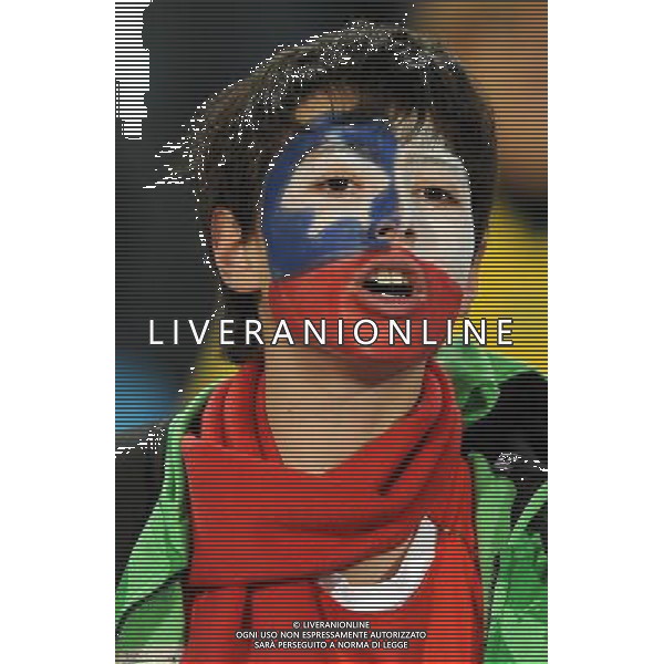 Fifa World Cup Sud Africa 2010 Match #47 Tshwane/Pretoria (Lotus Versfeld Stadium) - 25.06.2010 Cile-Spagna Nella Foto: TIFOSI /Ph.Vitez-Ag. Aldo Liverani