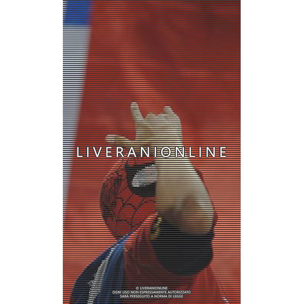 Fifa World Cup Sud Africa 2010 Match #47 Tshwane/Pretoria (Lotus Versfeld Stadium) - 25.06.2010 Cile-Spagna Nella Foto: TIFOSI /Ph.Vitez-Ag. Aldo Liverani