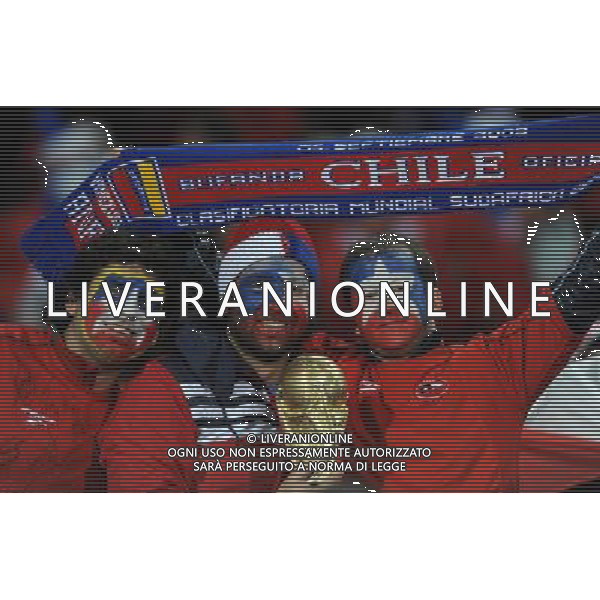 Fifa World Cup Sud Africa 2010 Match #47 Tshwane/Pretoria (Lotus Versfeld Stadium) - 25.06.2010 Cile-Spagna Nella Foto: TIFOSI /Ph.Vitez-Ag. Aldo Liverani