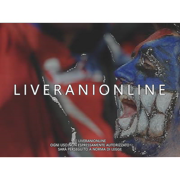 Fifa World Cup Sud Africa 2010 Match #47 Tshwane/Pretoria (Lotus Versfeld Stadium) - 25.06.2010 Cile-Spagna Nella Foto: TIFOSI /Ph.Vitez-Ag. Aldo Liverani