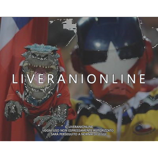 Fifa World Cup Sud Africa 2010 Match #47 Tshwane/Pretoria (Lotus Versfeld Stadium) - 25.06.2010 Cile-Spagna Nella Foto: TIFOSI /Ph.Vitez-Ag. Aldo Liverani