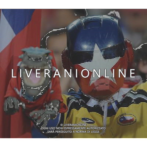 Fifa World Cup Sud Africa 2010 Match #47 Tshwane/Pretoria (Lotus Versfeld Stadium) - 25.06.2010 Cile-Spagna Nella Foto: TIFOSI /Ph.Vitez-Ag. Aldo Liverani