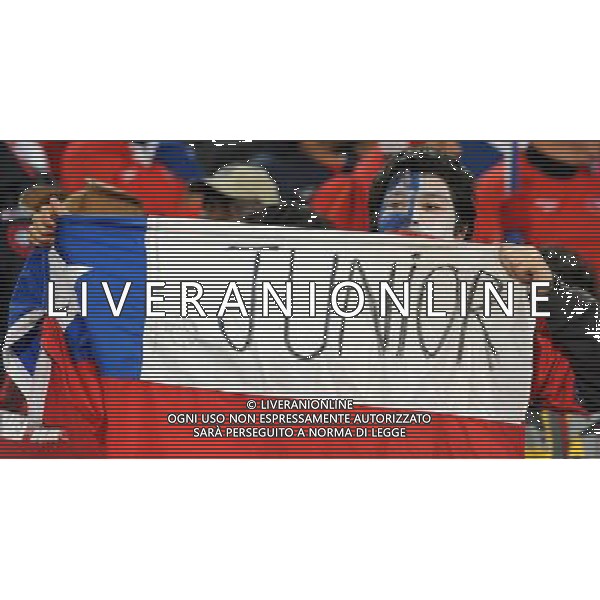 Fifa World Cup Sud Africa 2010 Match #47 Tshwane/Pretoria (Lotus Versfeld Stadium) - 25.06.2010 Cile-Spagna Nella Foto: TIFOSI /Ph.Vitez-Ag. Aldo Liverani