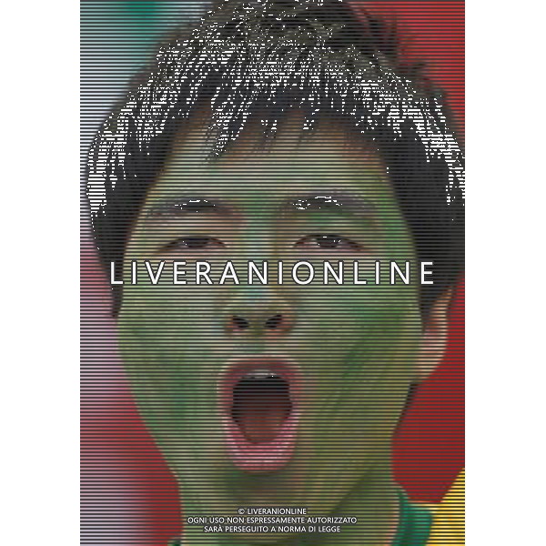 (100625) -- DURBAN, June 25, 2010 -- A fan of Brazil reacts prior to the Group G last round match between Portugal and Brazil at 2010 FIFA World Cup, at Moses Mabhida stadium in Durban, South Africa, on June 25, 2010. Liao Yujie) (dl) COSTA D\'AVORIO COREA DEL NORD FIFA WORLD CUP 2010 SUDAFRICA CALCIO SPORT ©PHOTOSHOT/ALDO LIVERANI ITALY ONLY