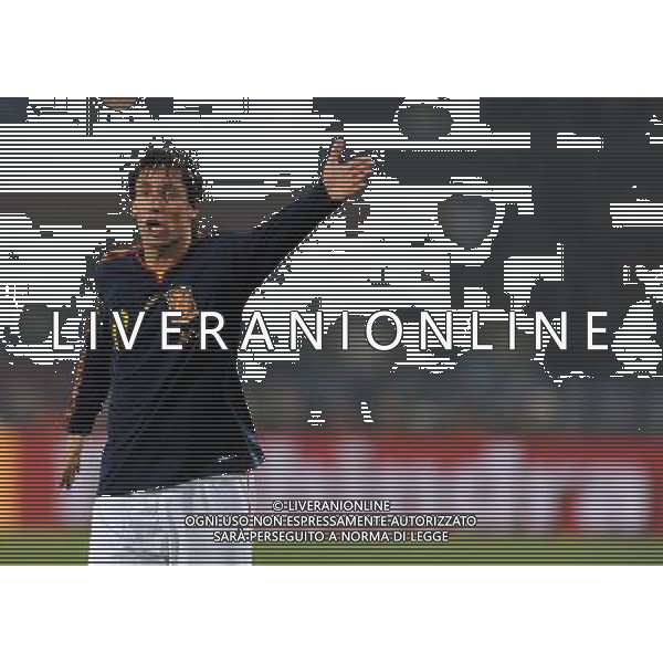 Fifa World Cup Sud Africa 2010 Match #47 Tshwane/Pretoria (Lotus Versfeld Stadium) - 25.06.2010 Cile-Spagna Nella Foto:Joan CAMPDEVILLA /Ph.Vitez-Ag. Aldo Liverani