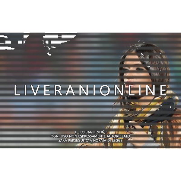 Fifa World Cup Sud Africa 2010 Match #47 Tshwane/Pretoria (Lotus Versfeld Stadium) - 25.06.2010 Cile-Spagna Nella Foto:Sara CARBONERO /Ph.Vitez-Ag. Aldo Liverani