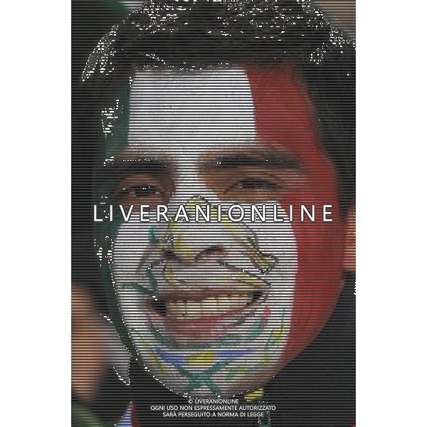 Fifa World Cup Sud Africa 2010 Match #47 Tshwane/Pretoria (Lotus Versfeld Stadium) - 25.06.2010 Cile-Spagna Nella Foto:Tifosi /Ph.Vitez-Ag. Aldo Liverani