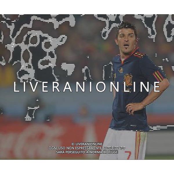 Fifa World Cup Sud Africa 2010 Match #47 Tshwane/Pretoria (Lotus Versfeld Stadium) - 25.06.2010 Cile-Spagna Nella Foto:David VILLA /Ph.Vitez-Ag. Aldo Liverani