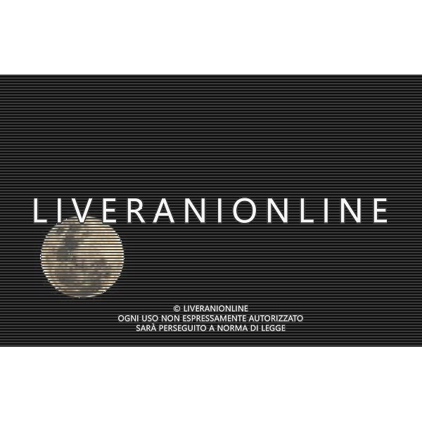 Fifa World Cup Sud Africa 2010 Match #50 Ottavi di Finale Rustenburg (Royal Bafokeng Stadium) - 26.06.2010 USA-Ghana Nella Foto:Luna /Ph.Vitez-Ag. Aldo Liverani