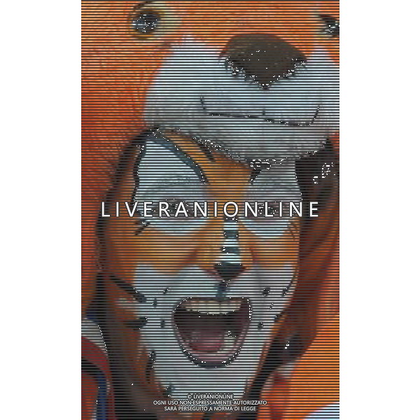 Fifa World Cup Sud Africa 2010 Match #64 Finale Johannesburg (Soccer City Stadium) - 11.07.2010 Olanda-Spagna Nella Foto: TIFOSI /Ph.Vitez-Ag. Aldo Liverani
