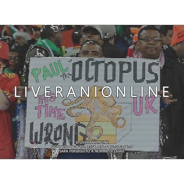 Fifa World Cup Sud Africa 2010 Match #64 Finale Johannesburg (Soccer City Stadium) - 11.07.2010 Olanda-Spagna Nella Foto: TIFOSI /Ph.Vitez-Ag. Aldo Liverani