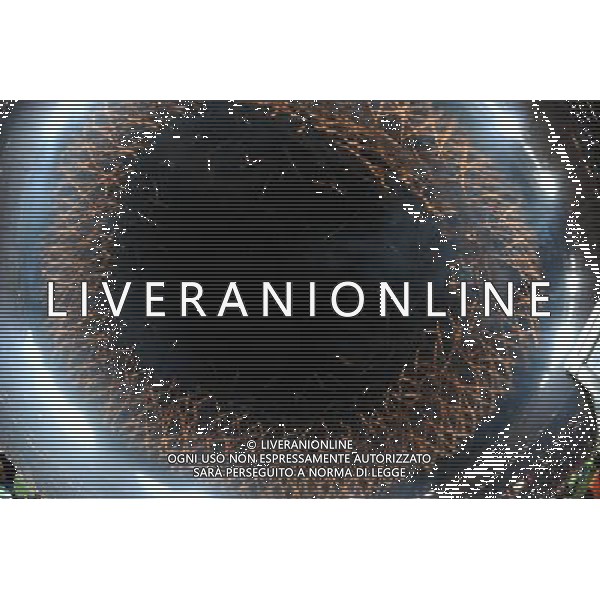 Fifa World Cup Sud Africa 2010 Match #64 Finale Johannesburg (Soccer City Stadium) - 11.07.2010 Olanda-Spagna Nella Foto:coreografia finale /Ph.Vitez-Ag. Aldo Liverani