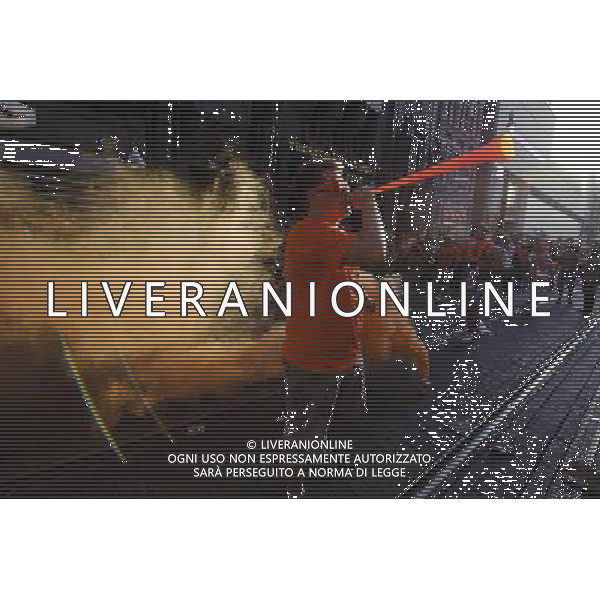 Fans of the Dutch soccer in Amsterdam, Netherlands on 2010-07-11 Spain defeated the Dutch with a 1-0 score in extra time. by Wiktor Dabkowski - Photoshot - Ag. Aldo Liverani sas ITALY ONLY