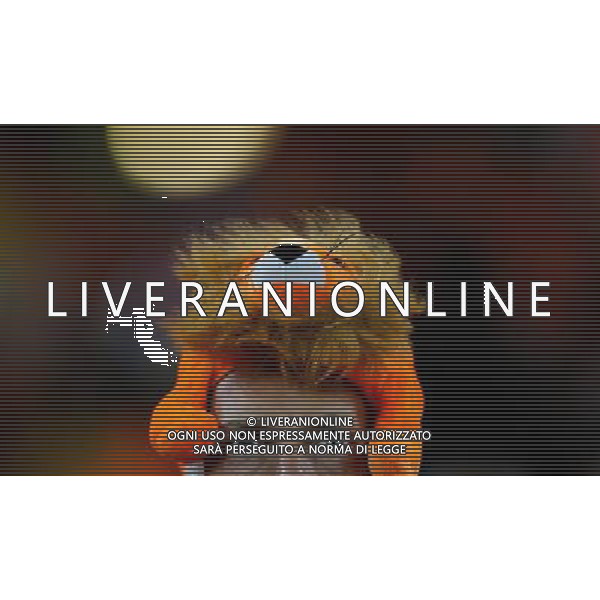 (100712) -- JOHANNESBURG, July 12, 2010 () -- A fan of the Netherlands waits for the final between the Netherlands and Spain on July 11, 2010 at Soccer City stadium in Johannesburg, South Africa. (/Liao Yujie) ©Photoshot/Agenzia Aldo Liverani Sas - ITALY ONLY: OLANDA - SPAGNA FINALE FIFA WORLD CUP CAMPIONATI MONDIALI SUD AFRICA 2010