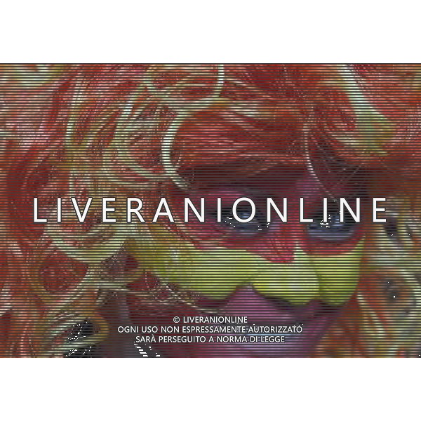 (100712) -- JOHANNESBURG, July 12, 2010 () -- A fan of Spain waits for the final between the Netherlands and Spain on July 11, 2010 at Soccer City stadium in Johannesburg, South Africa. (/Liao Yujie) ©Photoshot/Agenzia Aldo Liverani Sas - ITALY ONLY: OLANDA - SPAGNA FINALE FIFA WORLD CUP CAMPIONATI MONDIALI SUD AFRICA 2010