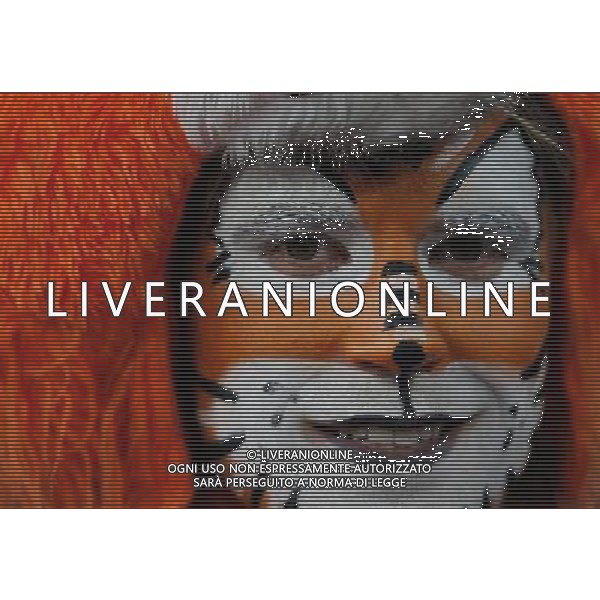 (100712) -- JOHANNESBURG, July 12, 2010 () -- A fan of the Netherlands waits for the final between the Netherlands and Spain on July 11, 2010 at Soccer City stadium in Johannesburg, South Africa. (/Liao Yujie) ©Photoshot/Agenzia Aldo Liverani Sas - ITALY ONLY: OLANDA - SPAGNA FINALE FIFA WORLD CUP CAMPIONATI MONDIALI SUD AFRICA 2010