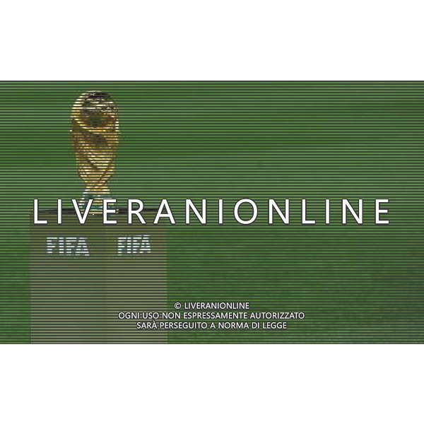 Fifa World Cup Sud Africa 2010 Match #64 Finale Johannesburg (Soccer City Stadium) - 11.07.2010 Olanda-Spagna Nella Foto:Coppa del Mondo /Ph.Vitez-Ag. Aldo Liverani