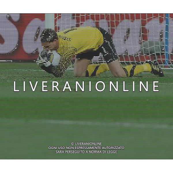 Fifa World Cup Sud Africa 2010 Match #64 Finale Johannesburg (Soccer City Stadium) - 11.07.2010 Olanda-Spagna Nella Foto:Maarten STEKELENBURG /Ph.Vitez-Ag. Aldo Liverani