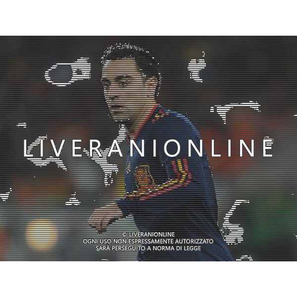 Fifa World Cup Sud Africa 2010 Match #64 Finale Johannesburg (Soccer City Stadium) - 11.07.2010 Olanda-Spagna Nella Foto:XAVI HERNANDEZ /Ph.Vitez-Ag. Aldo Liverani