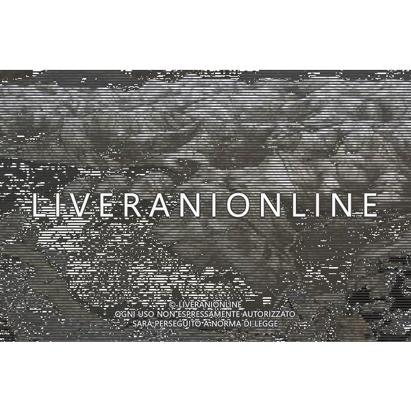 (100716) -- SUNAN, July 16, 2010 () -- Water from the melting glacier become one of the sources of the Shule River in Sunan, northwest China\'s Gansu Province, July 15, 2010. Due to climate change, the largest valley glacier in Qilian Mountains has melted more than 300 meters in recent 50 years. (/Lian Zhenxiang) (xzj) ©Photoshot/Agenzia Aldo Liverani Sas - ITALY ONLY - Paesaggio: Panorama del ghiacciaio sui Monti Qilian in Sunan, nord-ovest della Cina provincia di Gansu. A causa dei cambiamenti climatici, piu\' di 300 metri di ghiaccio si e\' sciolto negli ultimi 50 anni.