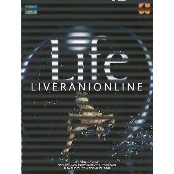 TRASMISSIONE TELEVISIVA LIFE-LO SPETTACOLO DELLA VITA 2010 NELLA FOTO locandina AG ALDO LIVERANI UFFICIO STAMPA MEDIASET